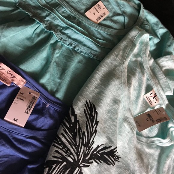 Ladies Plus Size Summer T=Shirts Bundle - Picture 4 of 4